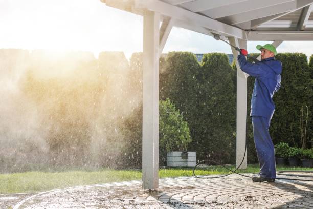 Animal Enclosure Cleaning in Cooper, TX